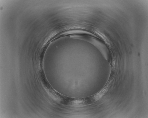 X0000075860158200609221804