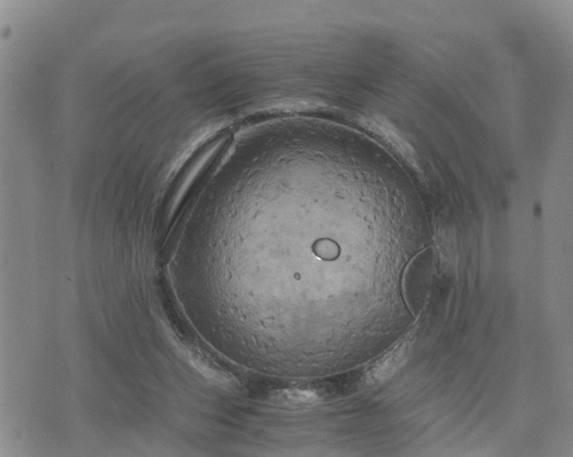 X0000075860159200609221804