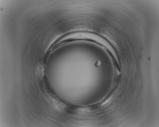 X0000075860160200609221804