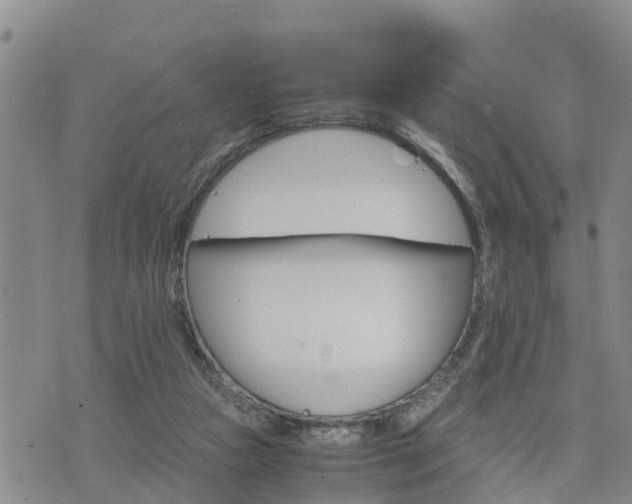 X0000075860161200609221804