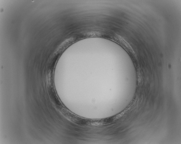 X0000075860163200609221804