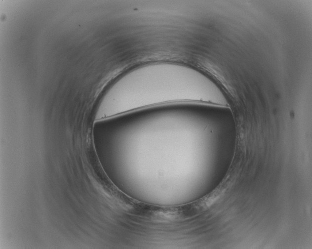 X0000075860164200609221804