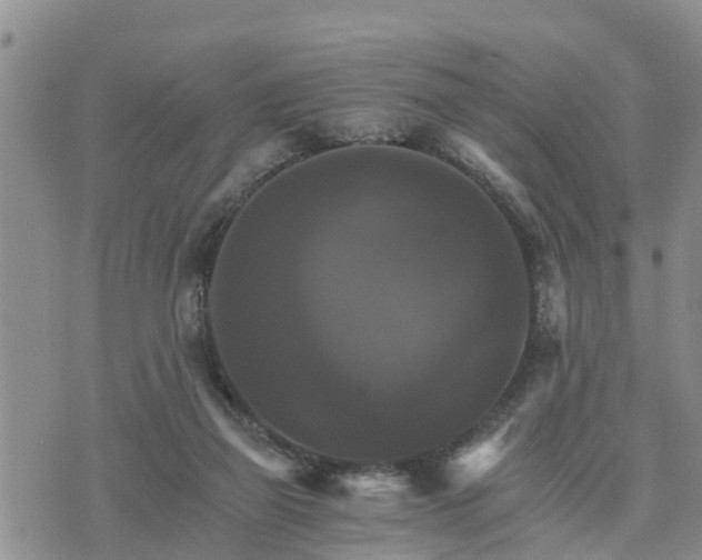 X0000075860165200609221804