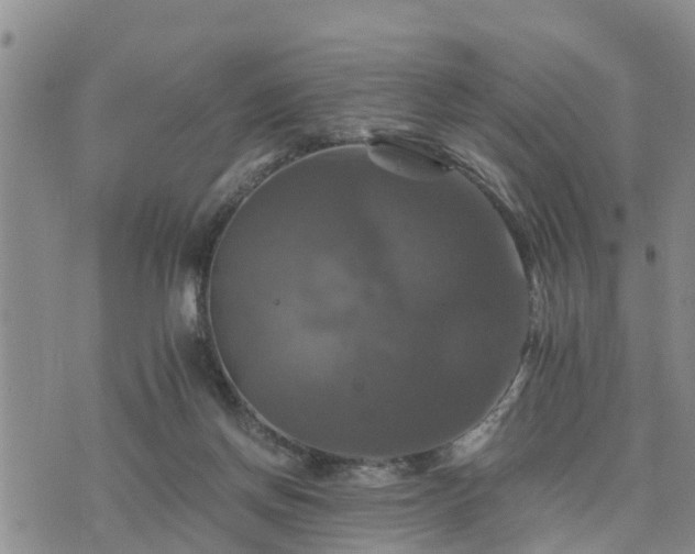 X0000075860166200609221804