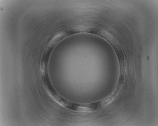 X0000075860167200609221804