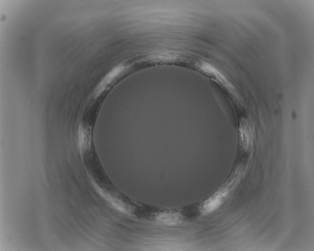 X0000075860168200609221804