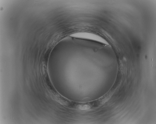 X0000075860169200609221804