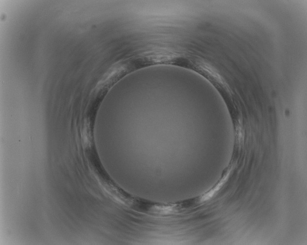 X0000075860170200609221804