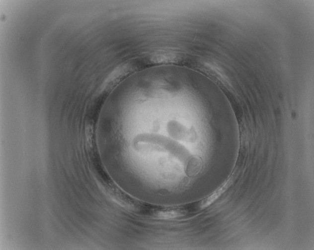 X0000075860171200609221804