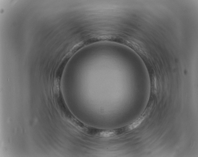 X0000075860172200609221804