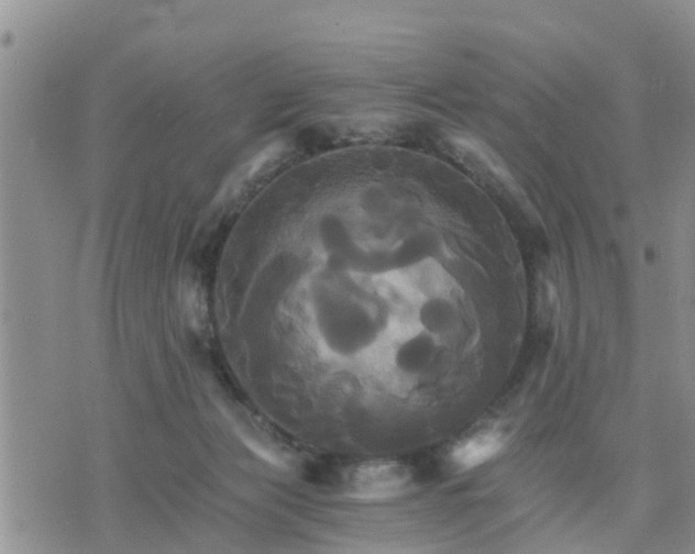 X0000075860173200609221804