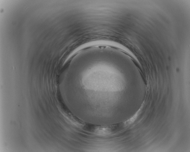 X0000075860174200609221804