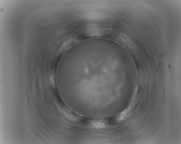 X0000075860175200609221804