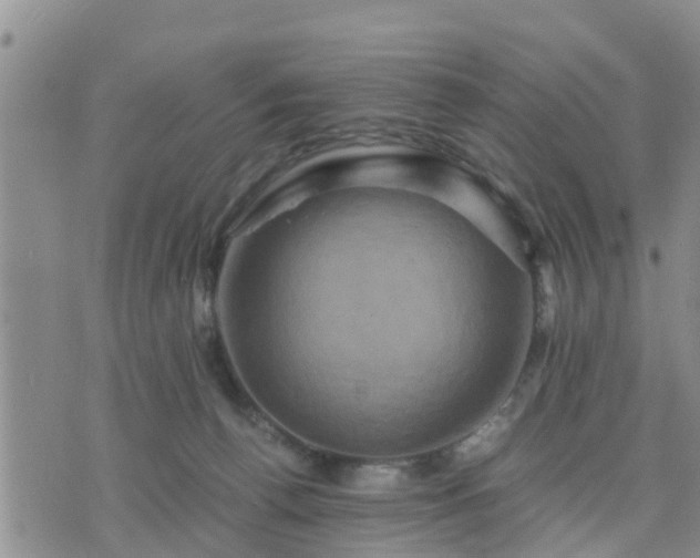 X0000075860176200609221804