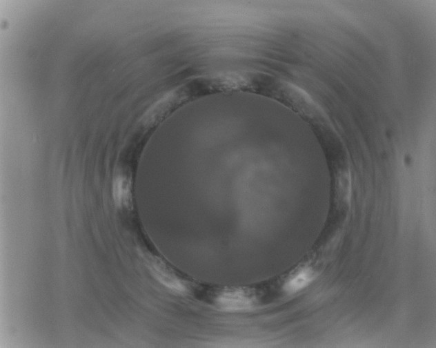 X0000075860177200609221804