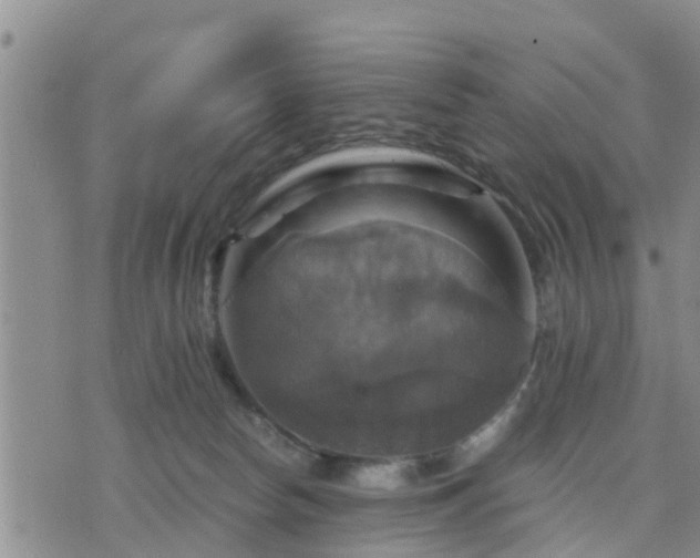 X0000075860178200609221804