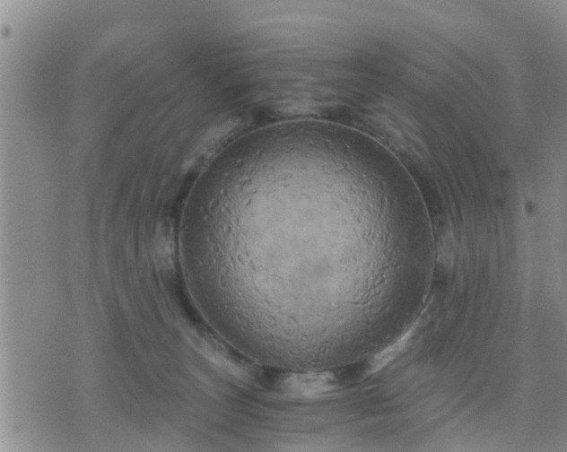 X0000075860179200609221805