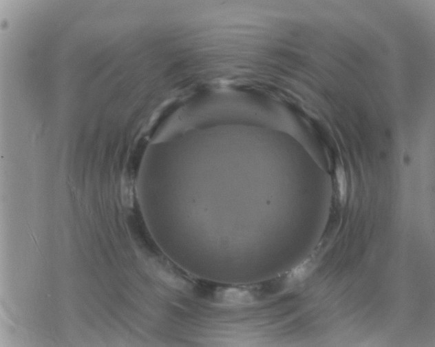 X0000075860180200609221805