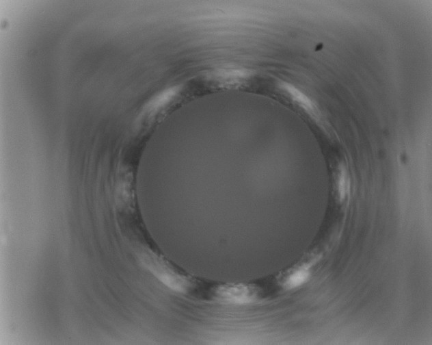 X0000075860181200609221805