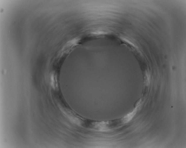 X0000075860182200609221805