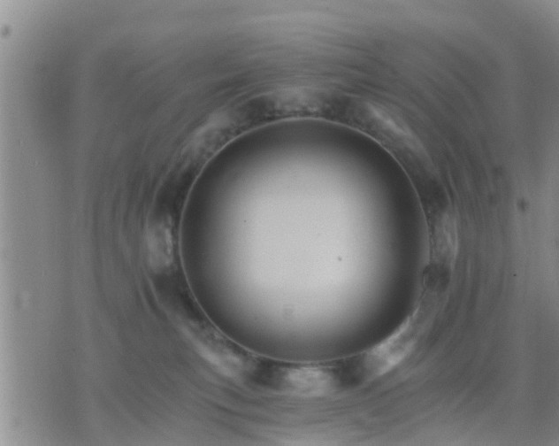 X0000075860183200609221805