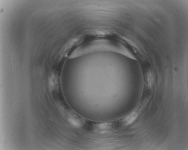 X0000075860184200609221805