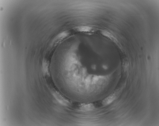 X0000075860185200609221805