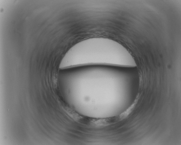 X0000075860186200609221805