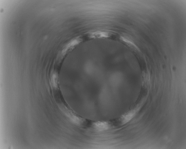 X0000075860189200609221805