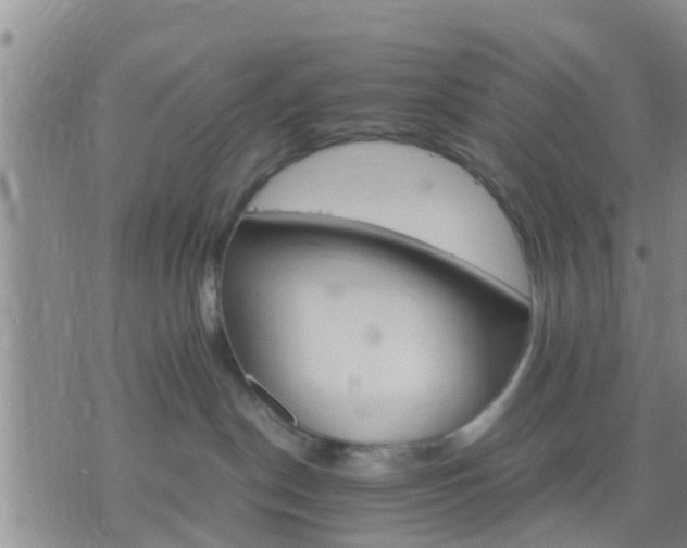 X0000075860190200609221805