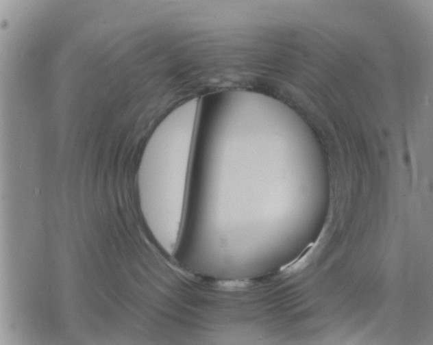 X0000075860192200609221805