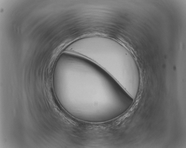 X0000075860193200609221804