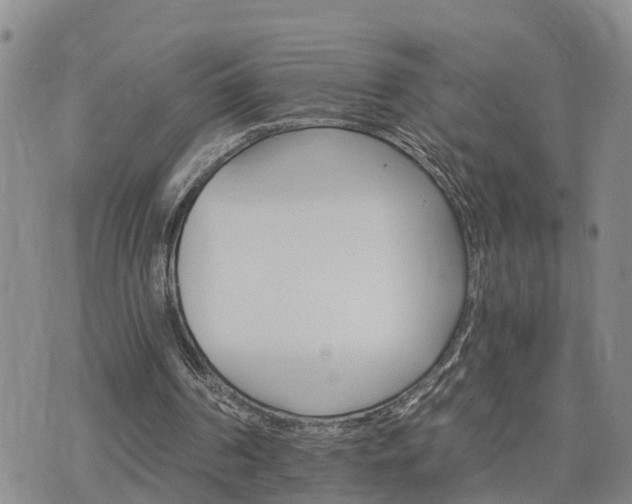 X0000075860194200609221804