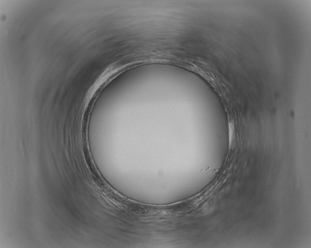 X0000075860195200609221804