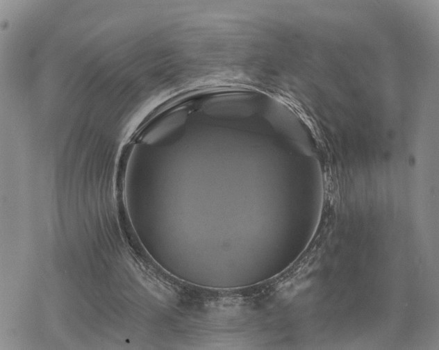 X0000075860196200609221804