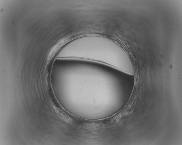 X0000075860197200609221804