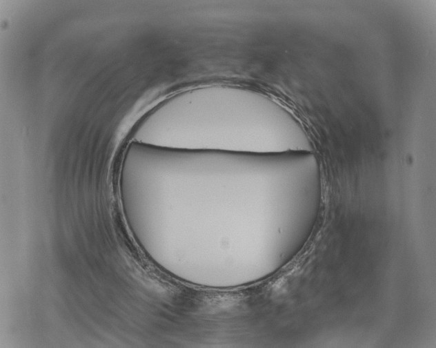 X0000075860198200609221804