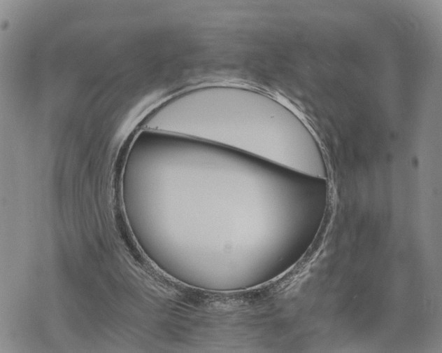 X0000075860199200609221804