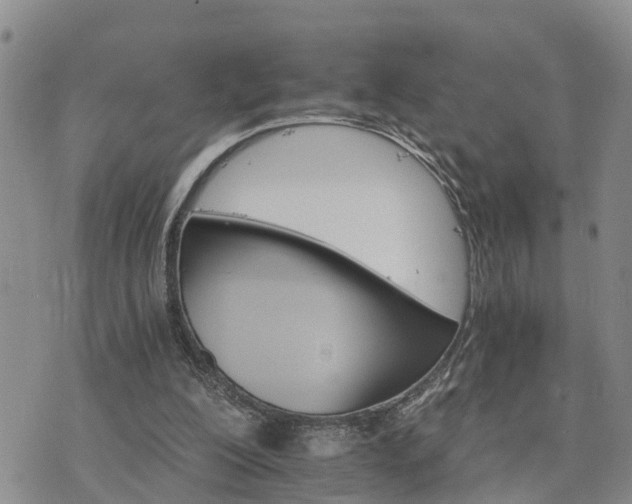 X0000075860200200609221804