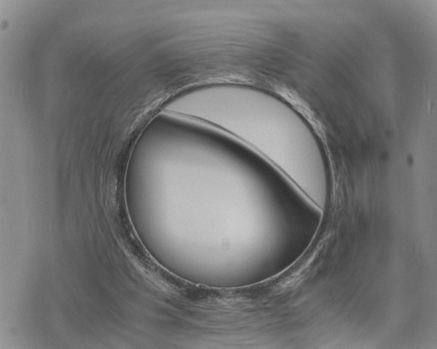 X0000075860201200609221804