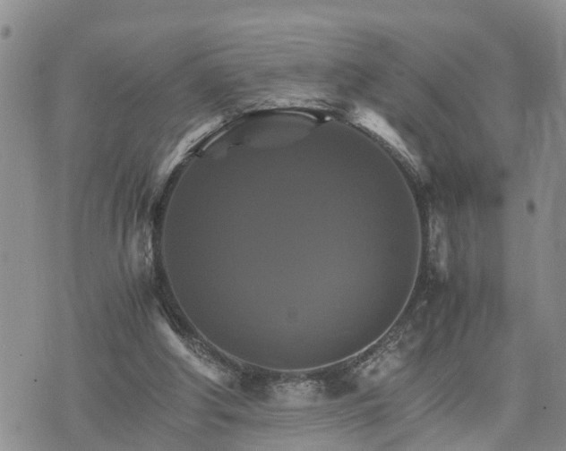 X0000075860202200609221804