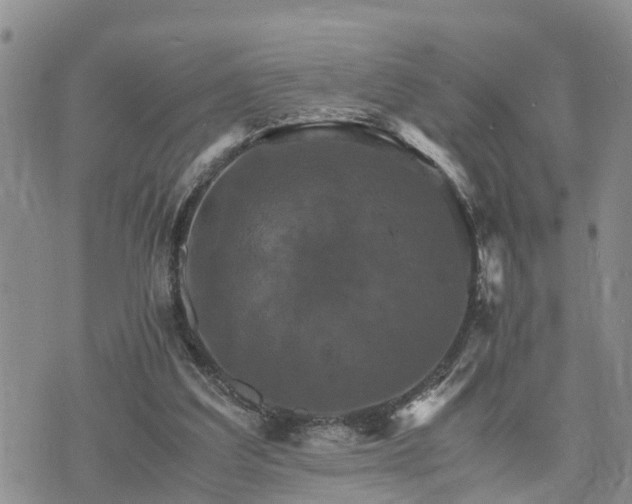 X0000075860203200609221804