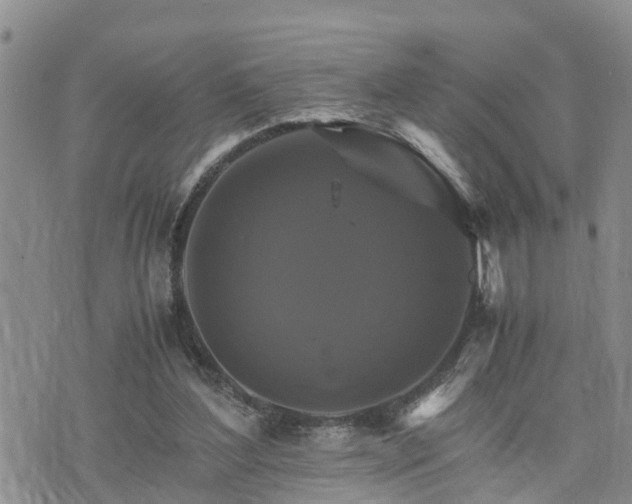 X0000075860204200609221804