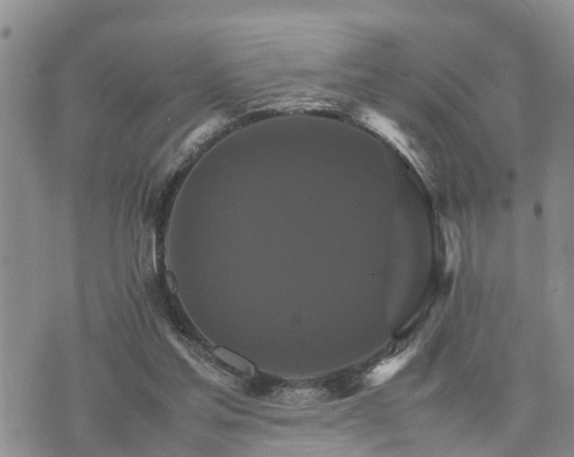 X0000075860205200609221804