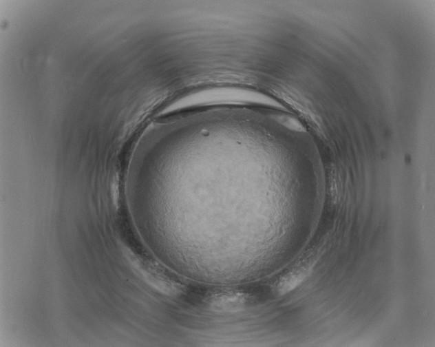 X0000075860206200609221804