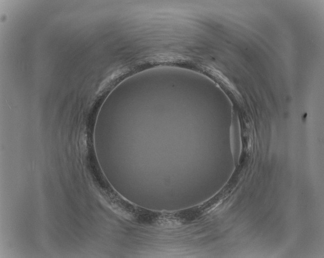 X0000075860207200609221804