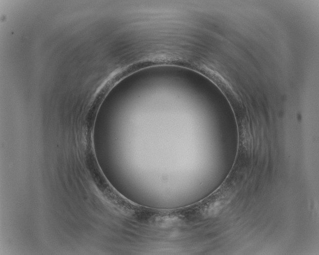 X0000075860208200609221804