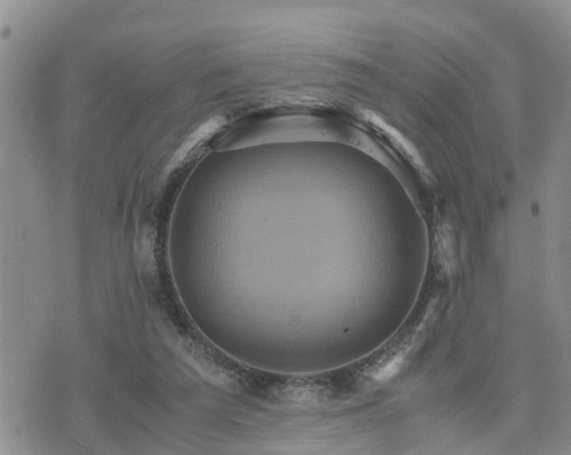 X0000075860209200609221804