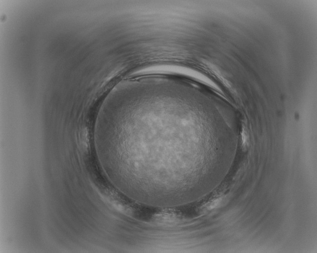 X0000075860211200609221804