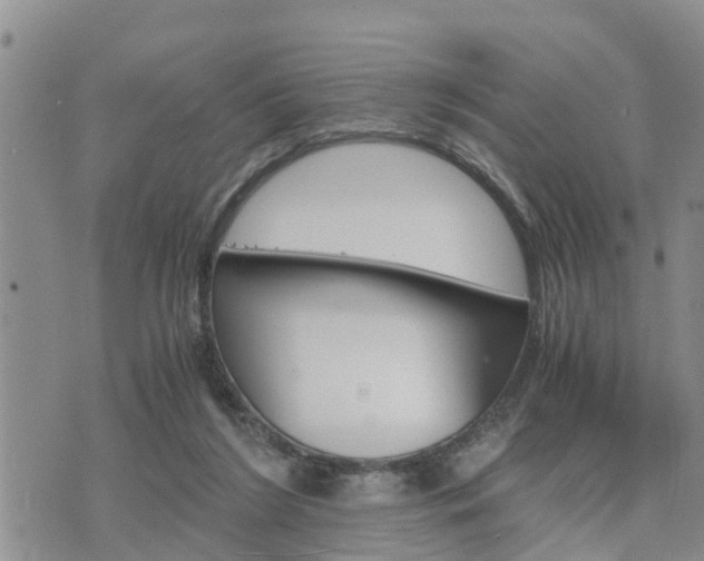 X0000075860212200609221804